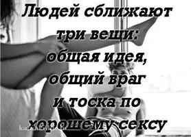 cc10bb9aba6212bc086924e41d145368.webp