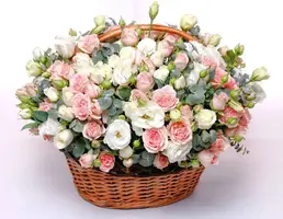 BCC4FEC8-794A-4A86-8AD8-1D4F27831975.webp