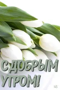 45fdcb93d770689315271eee06ab3e0b.webp