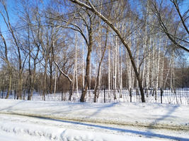 IMG_20220310_103616_resize_11.webp