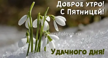 IMG-20220311-WA0005.webp