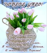 03-05-17-31-40.webp