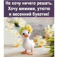 03-08-20-23-05.webp