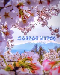IMG-20220312-WA0002.webp