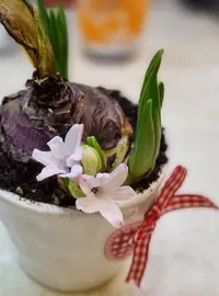Screenshot_20220312-191446_Gallery.webp
