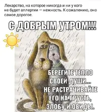 03-07-08-09-21.webp