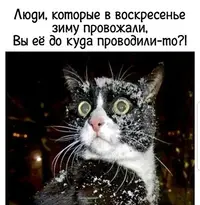 IMG-8c5fe1db2f91e0da83aacbc16e71769b-V.webp