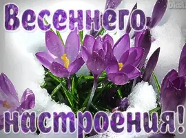 IMG-20220315-WA0001.webp
