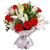 index.webp