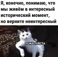 03-08-09-44-20.webp