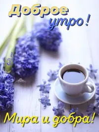 6393754f8c70720b7c09129a175fda3b.webp