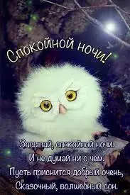 тттт.webp