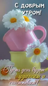 6c318c8163b3e566342743881c308e2f.webp