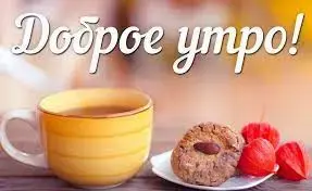 index.webp