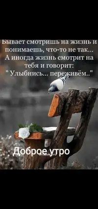 IMG-20220317-WA0007.webp