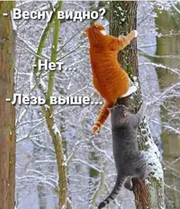 IMG-20220318-WA0009.webp