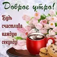 index.webp