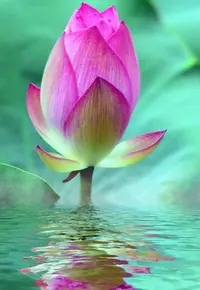 4BCCA26D-D4CE-4BCB-88CA-F96F8CB7F845.webp