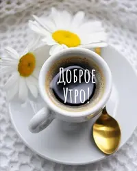 61bde504612e5c34326dc68fdd005bdb.webp