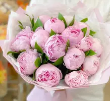 IMG_20220320_194425_798.webp