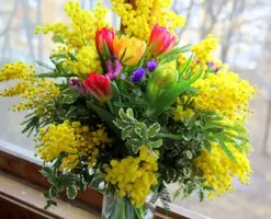 Screenshot_20220308-153431_Yandex.webp