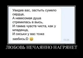 aN3sb21mb8.webp