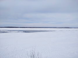 IMG_20220320_140551_resize_25.webp
