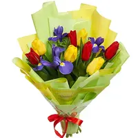 2645.webp
