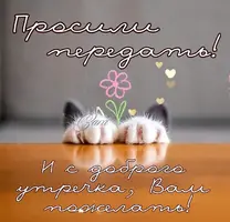 77725951fd64dfb8ba7384f4ee661833.webp