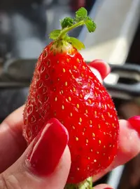 Screenshot_20220323-115825_Gallery.webp