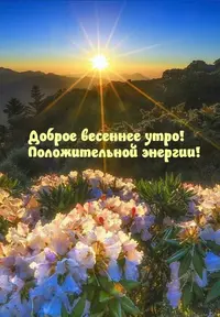 IMG-20220322-WA0001.webp