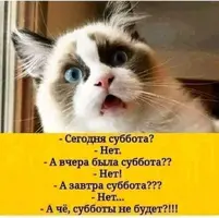 f8ab668fac43fde95d32c71fdb61c9b4.webp