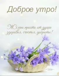 36fa6ad0e88b3249c5df08d51f89592a.webp