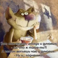 Screenshot_20211211_214503.webp