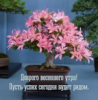 IMG-20220325-WA0004.webp