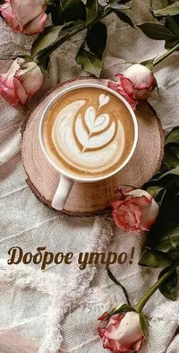 1396347C-90F5-43C3-833C-BDD26309B63F.webp