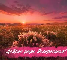 IMG-20220327-WA0007.webp