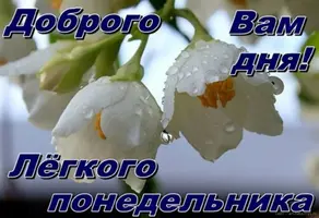 IMG-20220328-WA0006.webp
