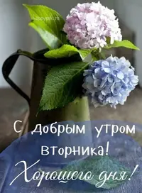 IMG-20220329-WA0002.webp