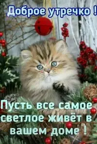 74f8f4f0327dfc15854053b4dc6e5783.webp