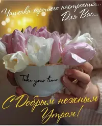 23-21-28-33.webp