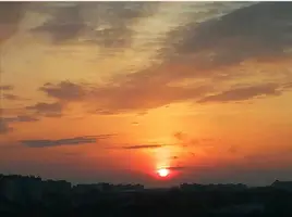 Screenshot_20220329_215608.webp