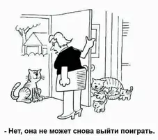 55B70338-D897-4BC3-BEE1-8721F4075F09.webp