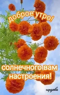 IMG-20220330-WA0003.webp