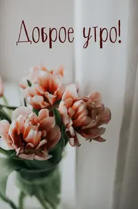 61BA4D82-C374-4429-941A-A475CA5EA0FB.webp