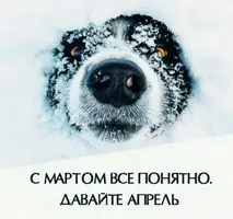 03-30-14-42-55.webp