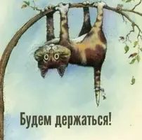 9DA0D158-E170-4DA6-BB0D-2EBB1CB2B2DC.webp