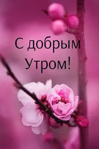 1E46A91A-6B37-4E69-B213-CF809AAAC096.webp