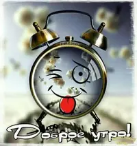 IMG-20220331-WA0000.webp