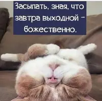 25-23-54-35.webp